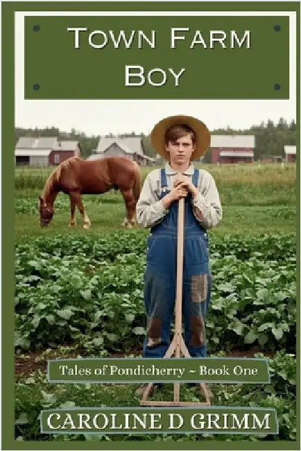 Town Farm Boy by Grimm, Caroline D.