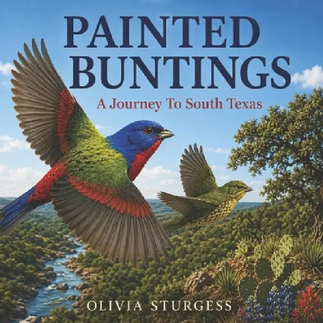 Painted Buntings: A Journey to South Texas by Olivia Sturgess