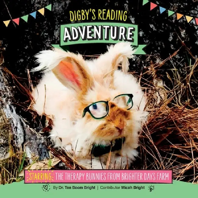 Digby's Reading Adventure by Ten Boom Bright