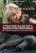 My Greyhound: Over 60 Years As a Successful Greyhound Trainer And Breeder Of Many Group Winners by Julie Edmondson, El de Wiel