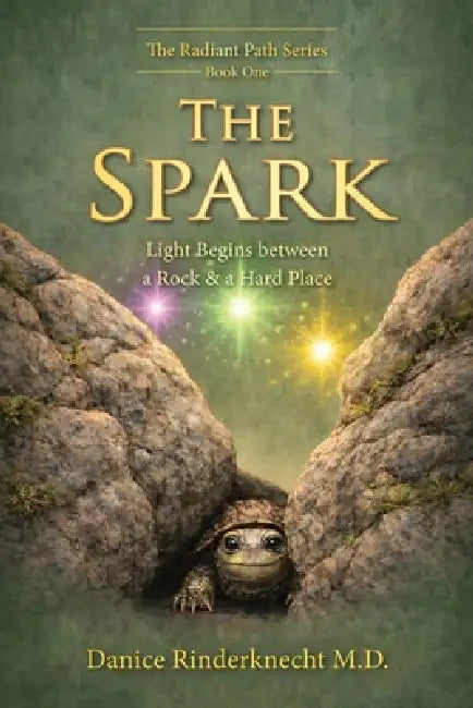 The Spark: Light Begins between a Rock and a Hard Place by Danice Rinderknecht
