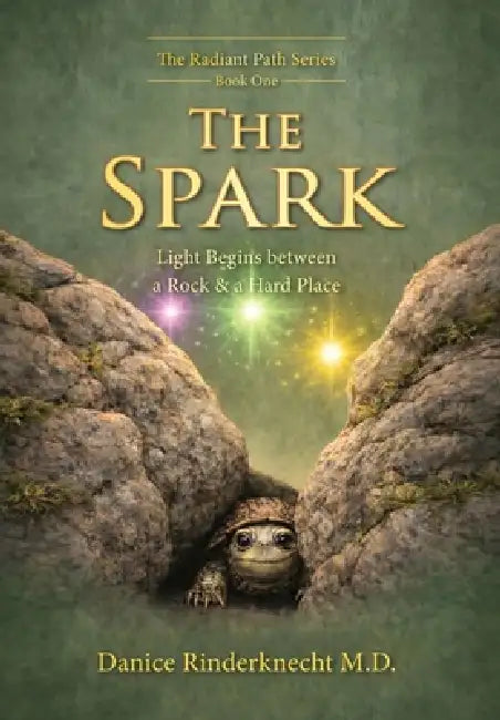 The Spark: Light Begins between a Rock and a Hard Place by Danice Rinderknecht