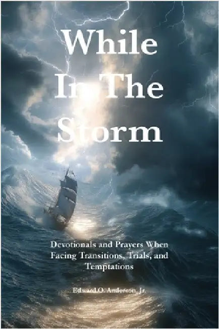While in the Storm: Devotionals and Prayers When Facing Transitions, Trials, and Temptations by Anderson, Edward Ocampo, Jr.