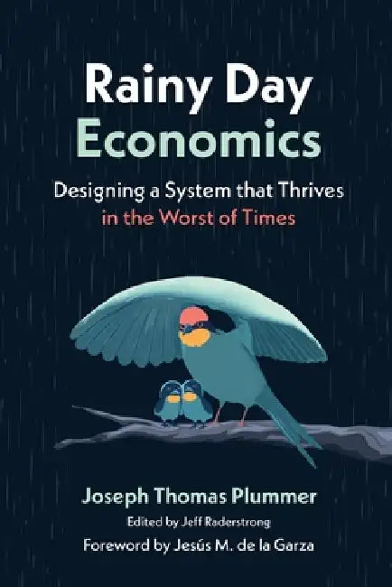 Rainy Day Economics: Designing a System that Thrives in the Worst of Times by Joseph Thomas Plummer