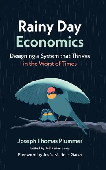 Rainy Day Economics: Designing a System that Thrives in the Worst of Times by Joseph Thomas Plummer