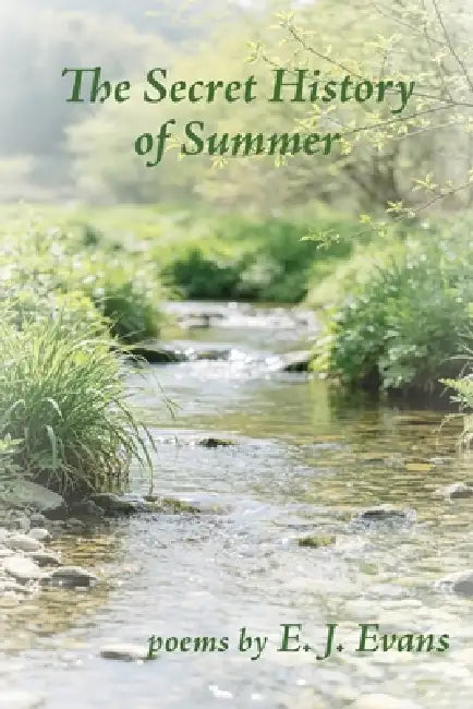 The Secret History of Summer by E. J. Evans