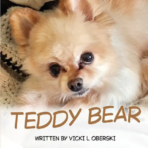 Teddy Bear by Vicki L. Oberski