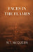 Faces in the Flames by N. T. McQueen