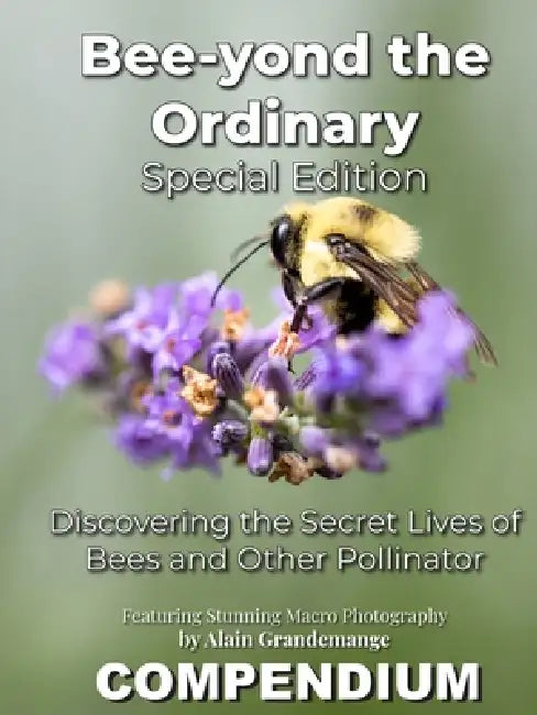 Bee-yond the Ordinary: The 4 Volume Compendium by Alain Grandemange, Alandrea Publishing