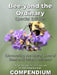 Bee-yond the Ordinary: The 4 Volume Compendium by Alain Grandemange, Alandrea Publishing