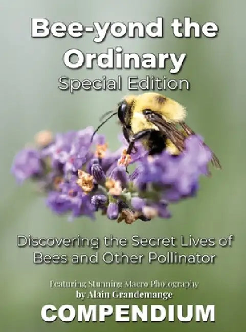 Bee-yond the Ordinary: The 4 Volume Compendium by Alain Grandemange, Alandrea Publishing