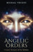 The Angelic Orders: Cosmic Servants of the Infinite by Michael Vincent