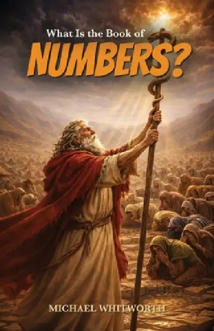 What Is the Book of Numbers? by Michael Whitworth