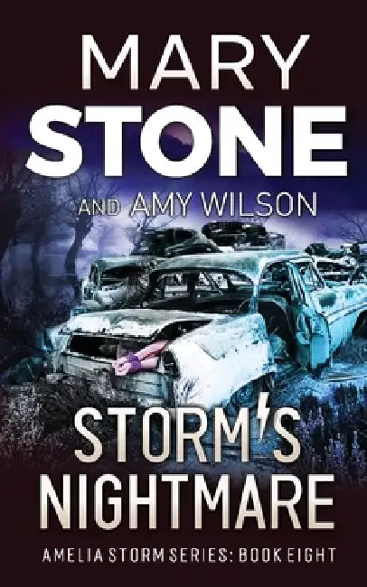 Storm's Nightmare by Mary Stone, Amy Wilson