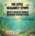The Little Dragonfly Nymph: Nico's Secret School Beneath Cattail Pond by Val Fletcher