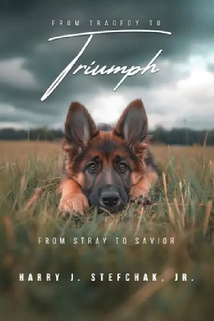 From Tragedy to Triumph by Jr. Stefchak Harry J.