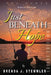 Just Beneath Hope: The Dance (Latest Edition) by Brenda J. Stemmler