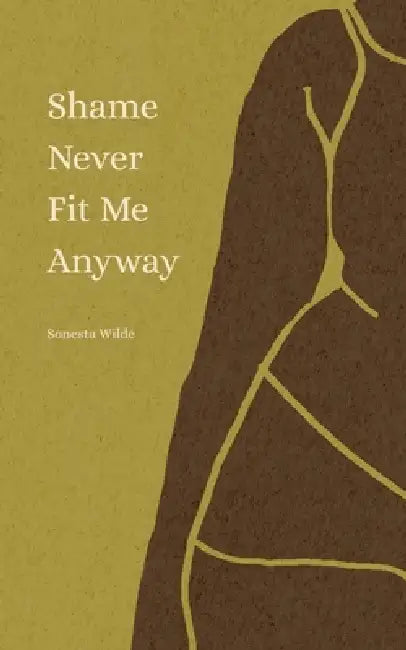 Shame Never Fit Me Anyway by Sonesta Wilde