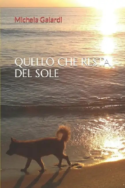 Quello Che Resta del Sole by Galardi, Michela