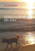 Quello Che Resta del Sole by Galardi, Michela