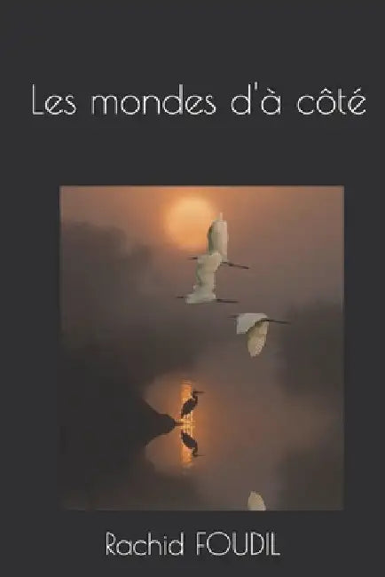 Les mondes d'à côté by Foudil, Rachid