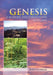 Genesis: A Modern-Day Commentary (Midrash) by Judith Folse