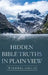 Hidden Bible Truths in Plain View by Windell Gillis
