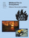 Wildland Fire in Ecosystems: Effects of Fire on Soil and Water by Forest Service