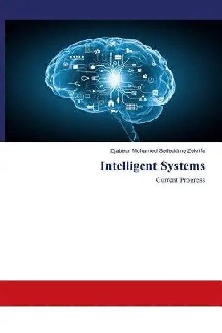 Intelligent Systems: Current Progress by Djabeur Mohamed Seifeddine Zekrifa