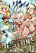 Dr. Stone, Vol. 12 by Riichiro Inagaki