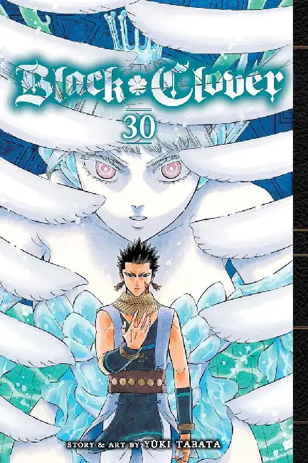 Black Clover, Vol. 30: Volume 30 by Yuki Tabata