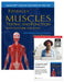 Kendall's Muscles: Testing and Function with Posture and Pain 6e Lippincott Connect Print Book and Digital Access Card Package [With Access Code] by Vincent M. Conroy, Brian Murray, Quinn Alexopulos
