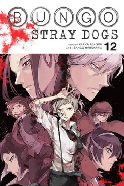 Bungo Stray Dogs, Vol. 12 by Kafka Asagiri