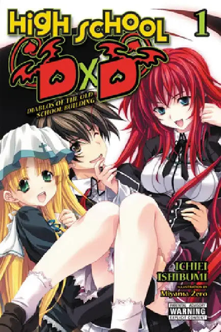 High School DXD, Vol. 1 (Light Novel) by Ichiei Ishibumi