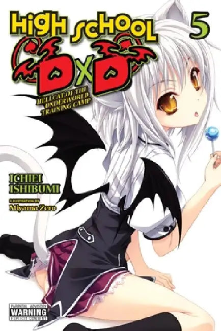 High School DXD, Vol. 5 (Light Novel) by Ichiei Ishibumi