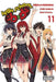 High School DXD, Vol. 11 by Hiroji Mishima