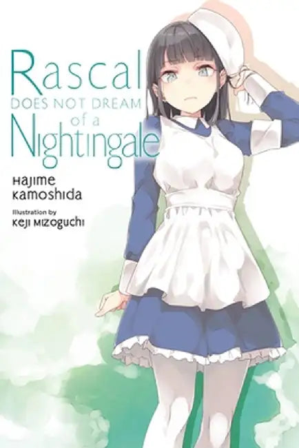 Rascal Does Not Dream, Vol. 11 (Light Novel) by Hajime Kamoshida