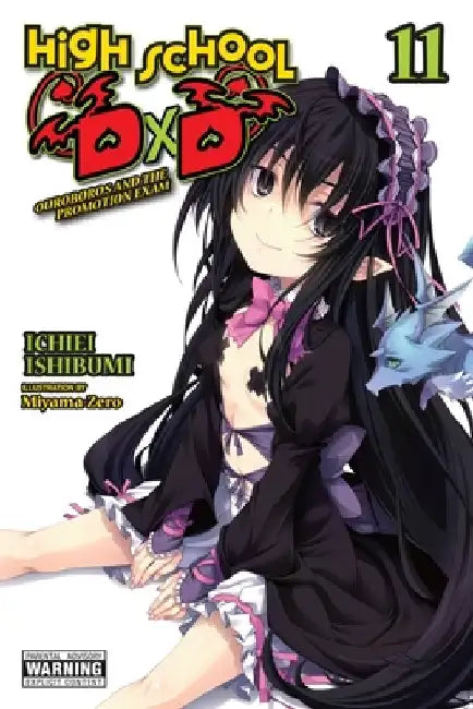 High School DXD, Vol. 11 (Light Novel) by Ichiei Ishibumi
