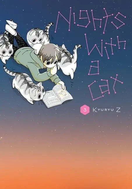 Nights with a Cat, Vol. 3 by Kyuryu Z