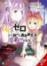 RE: Zero -Starting Life in Another World- Short Story Collection, Vol. 3 (Light Novel): Volume 3 by Tappei Nagatsuki