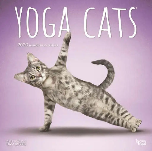 Yoga Cats 2020 Square 