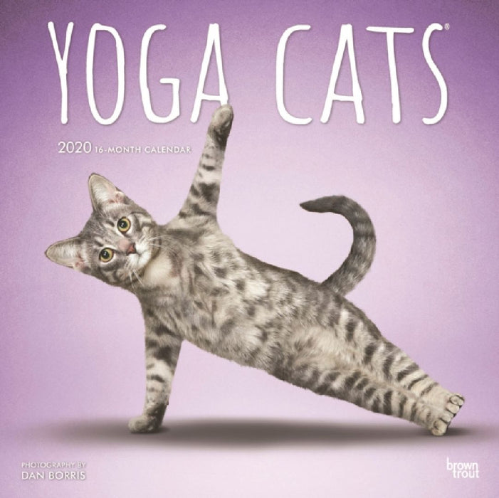 Yoga Cats 2020 Square  by Inc Browntrout Publishers