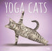 Yoga Cats 2020 Square  by Inc Browntrout Publishers