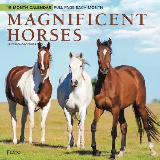 Magnificent Horses Jul24Dec25 Square Wra