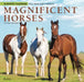Magnificent Horses Jul24Dec25 Square Wra