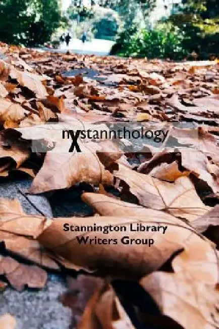 nXstannthology: The next anthology from the Stannington Library Writers' Group by Susan Allott