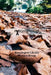 nXstannthology: The next anthology from the Stannington Library Writers' Group by Susan Allott