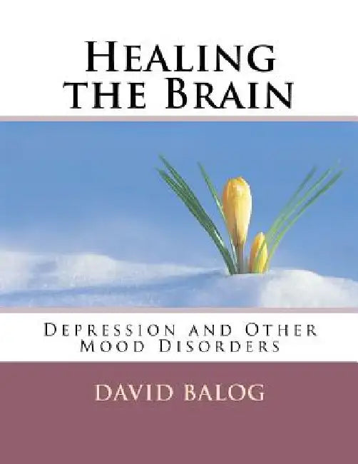 Healing the Brain: Depression and Other Mood Disorders by David Balog