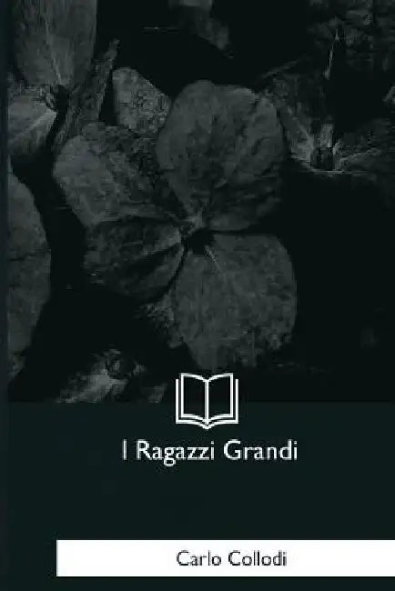 I Ragazzi Grandi by Collodi, Carlo