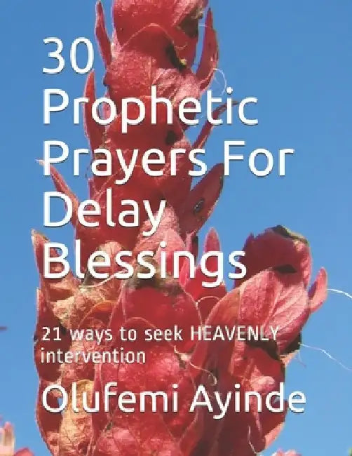 30 Prophetic Prayers For Delay Blessings: 21 ways to seek HEAVENLY intervention in THE BIBLE by Olufemi Ayinde